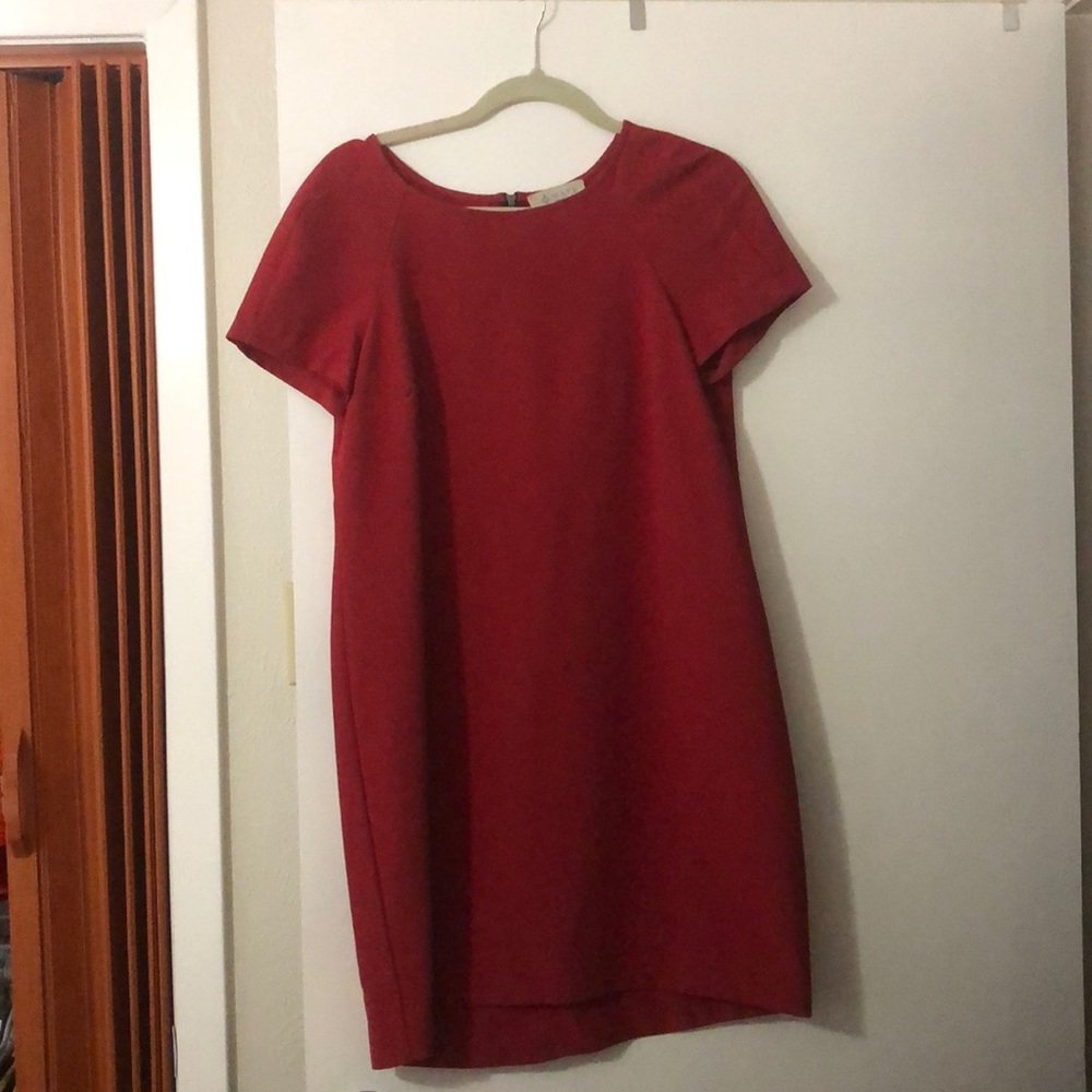 Red mini dress